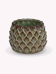 Medium Artichoke Plant bowl